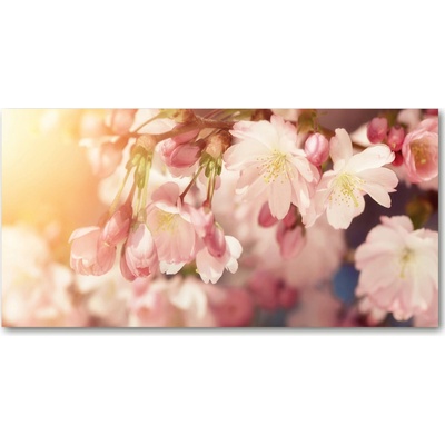 Foto obraz sklo tvrzené kvety višne 100x50 cm