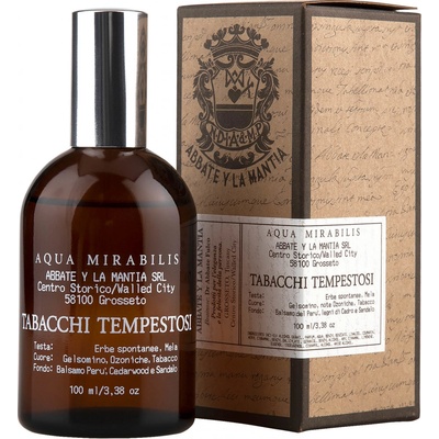 Abbate Y La Mantia Tabacchi Tempestosi parfémovaná voda pánská 50 ml