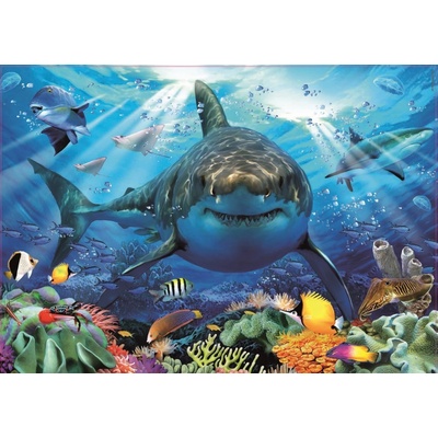 Educa Great White Shark 500 dielov