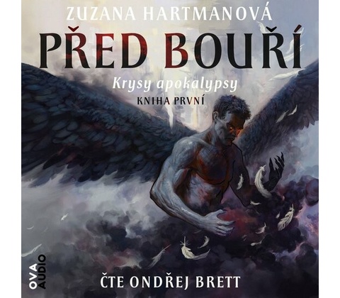 Před bouří