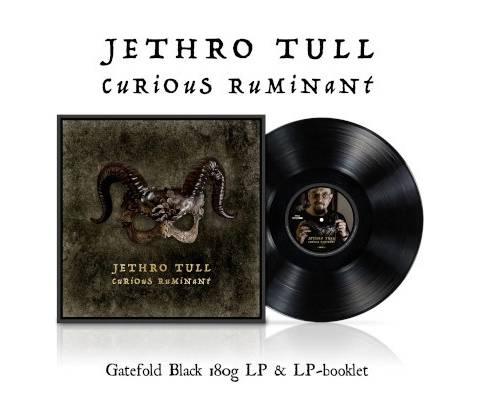 Jethro Tull Curious Ruminant LP