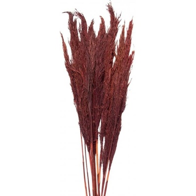 Vínová kytice sušené květy bambusu Bamboo – 100 cm