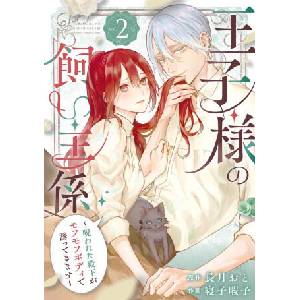 The Prince's Keeper 02 (ISBN: 9781646094844)