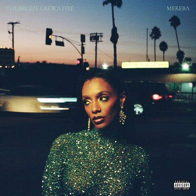 Mereba - The Breeze Grew a Fire (Limited Edition) (Coloured) (LP) (0656605049830)