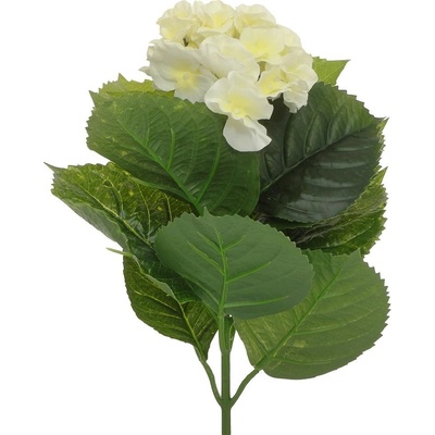 AKCIA!! 25FLK0819 HYDRANGEA ZÁPICH 50CM KS