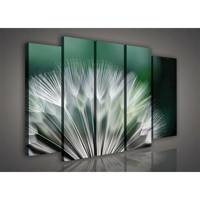 Obraz na plátně pampeliška 118S12, rozměr 150 x 100 cm, IMPOL TRADE
