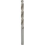 Bosch 2608595067