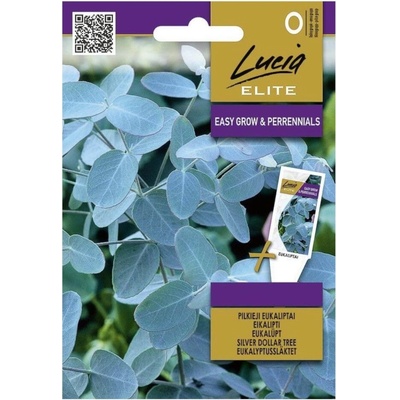 Seklos Евкалипт Сребрист Eucalyptus cinerea