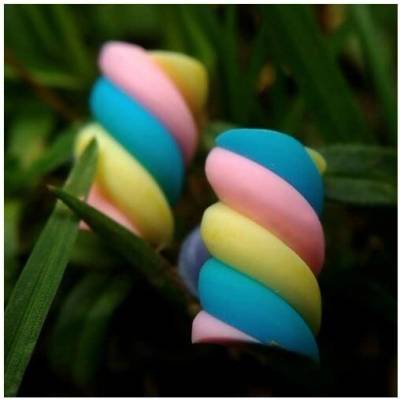 CircusMind sladké náušnice pecky Fimo marshmallow S5082