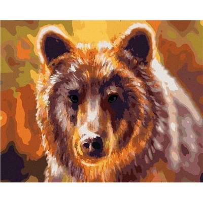 zuty Malování Podle Čísel Hlava Medvěda 40 x 50 Cm Plátno Rám