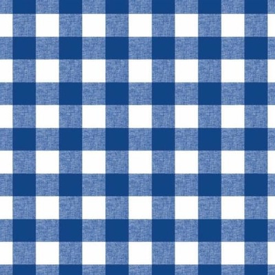 Impol Trade Ubrus PVC 084D káro velké modro-bílé návin 20 mx140 cm