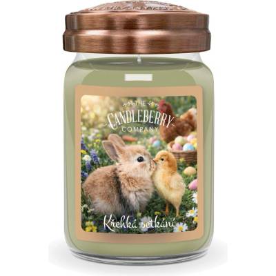 Candleberry Candle Křehká setkání 624 g