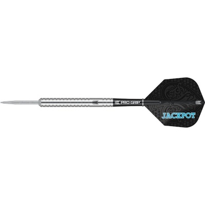 Target steel Adrian Lewis G4 2019 24g 90% wolfram