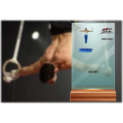 Skleněná trofej na dřevěném podstavci | Gymnastika kruhy Výška: 17 cm