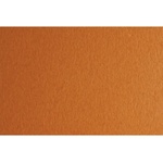 Fabriano Картон Colore, 50 x 70 cm, 200 g/m2, № 223, светлокафяв (42303223/2_AVANA)