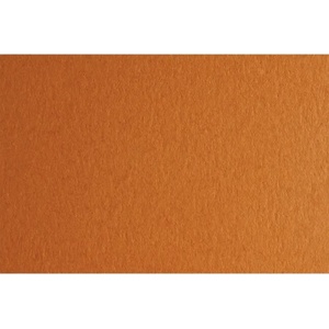 Fabriano Картон Colore, 50 x 70 cm, 200 g/m2, № 223, светлокафяв (42303223/2_AVANA)