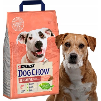 Purina Dog Chow Adult Sensitive Salmon 2,5 kg