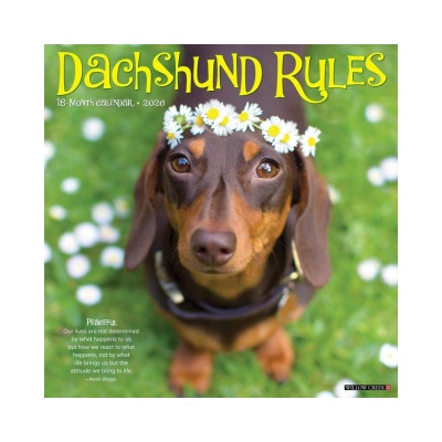Willow Creek Press Dachshund Rules 2026 12 X 12 Wall Calendar | Willow Creek Press