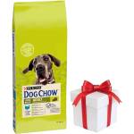 Dog Chow Adult Large Breed Turkey 14 кг+ безплатна изненада за кучето