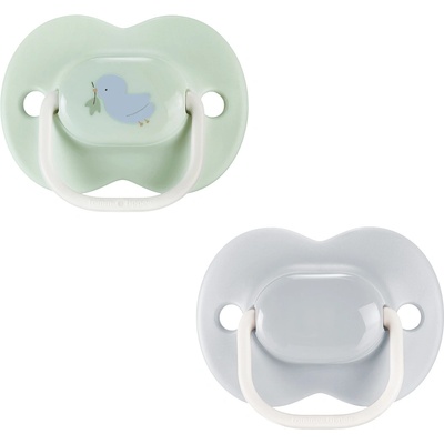 Ортодонтични залъгалки Tommee Tippee - AnyTime, Синя и Зелена с декор Птиче, с кутия за стерилизиране 0-12 m, 2 броя (TT.0268)