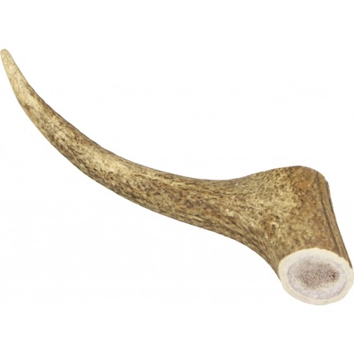 Marp Holistic Jelení paroh celý XL (160 - 200 g)
