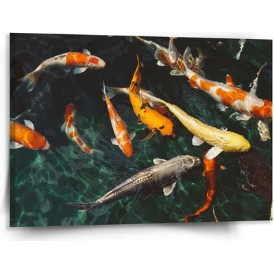 Sablio Obraz Ryby - 150x110 cm