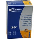Schwalbe DV