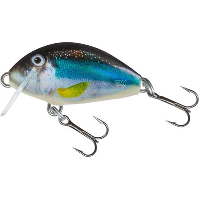 Salmo Tiny Holo Smelt Sinking 3 cm – Hledejceny.cz