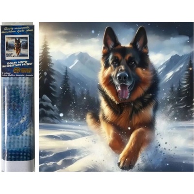 Norimpex diamantové malování 30x40cm vlčák v běhu