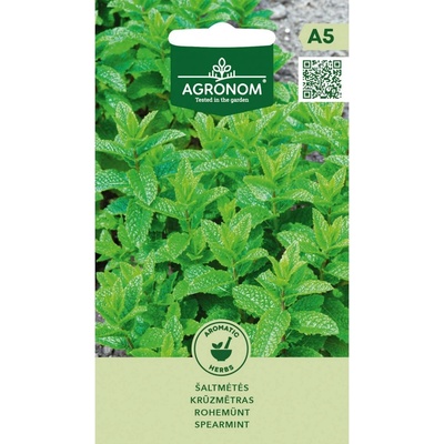 Seklos Джоджен (градинска мента) Mentha spicata