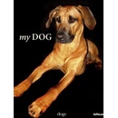 My Dog