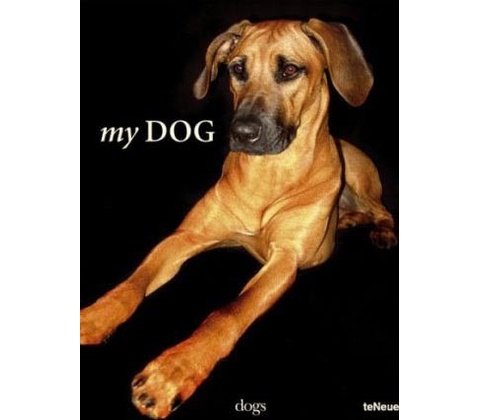 My Dog