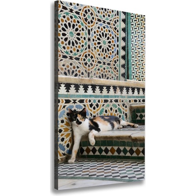 Vertikálny foto obraz canvas Kocúr v Maroku 50x100 cm