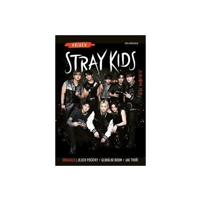 Příběh Stray Kids