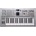 Roland Gaia 2