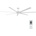 Lucci Air 21610849