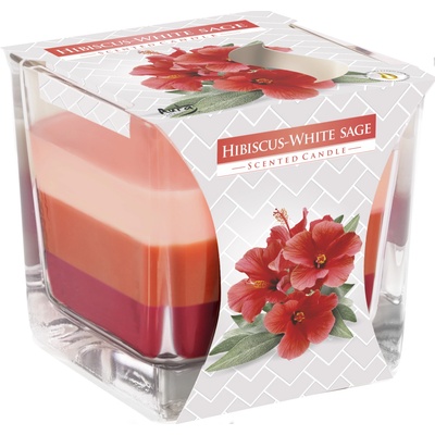 BISPOL Ароматна свещ Bispol Aura - Хибискус и салвия, 170 g (snk80-356)