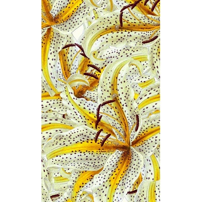 Marburg 46815 Vliesová luxusní fototapeta Smart Art Aspiration, rozměry 159 x 340 cm