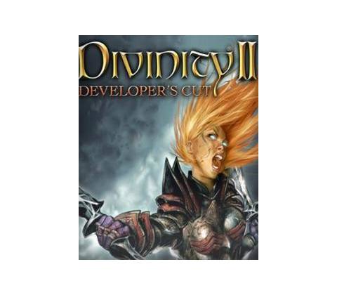 Divinity 2 (The Developer’s Cut)