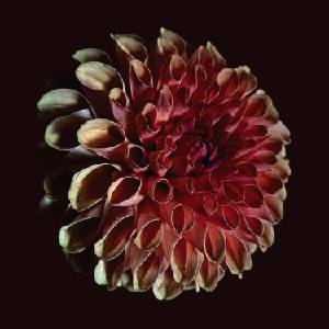 Jessica Moss - Unfolding (LP) (0666561018818)