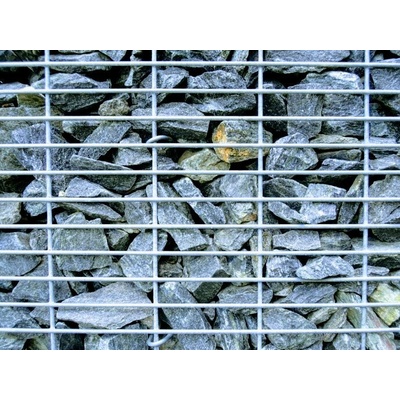 DOMYS Gabionová síť 200x100 cm (oko 10x2,5)