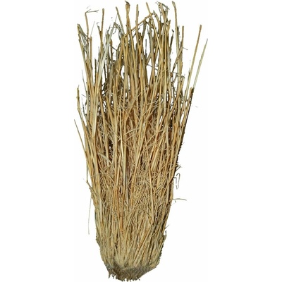 Lucky Reptile Grass Bushes 25-40 cm