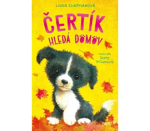 Čertík hledá domov