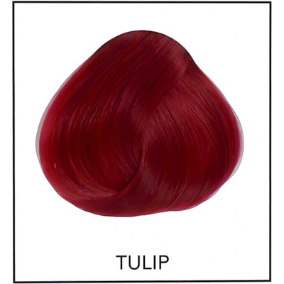 La Riché Directions barva na vlasy Tulip