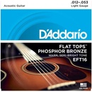 DAddario EFT16
