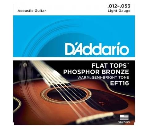 DAddario EFT16
