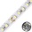 EVN SB5424602840
