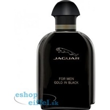 Jaguar Gold in Black toaletná voda pánska 100 ml tester