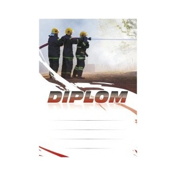 Diplom 6673