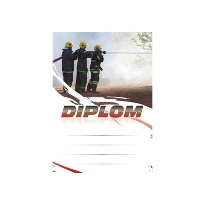 Diplom 6673